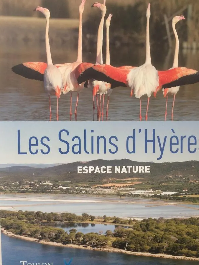 Appartement Les Salins Hyeres France